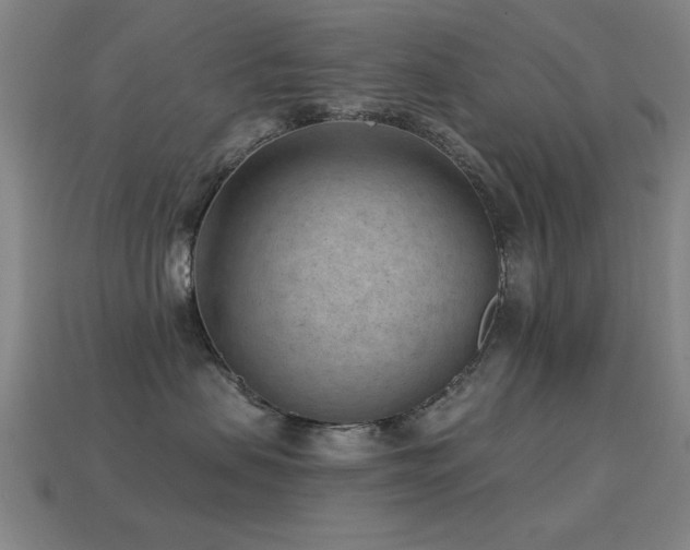 X0000114690479200910211316