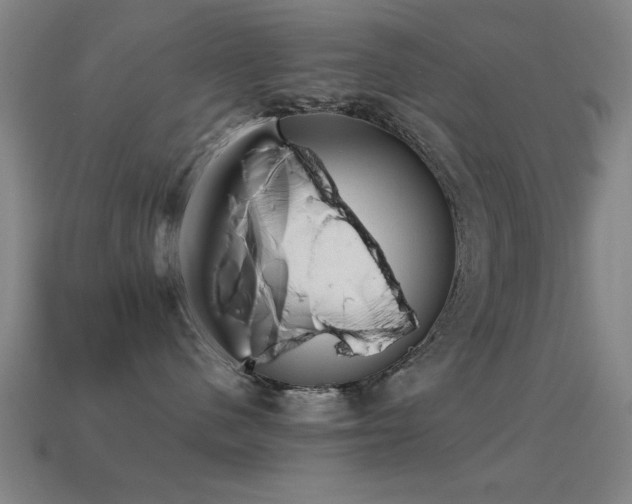 X0000114690480200910211316