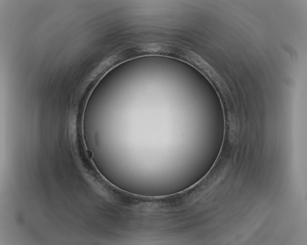 X0000114690482200910211315