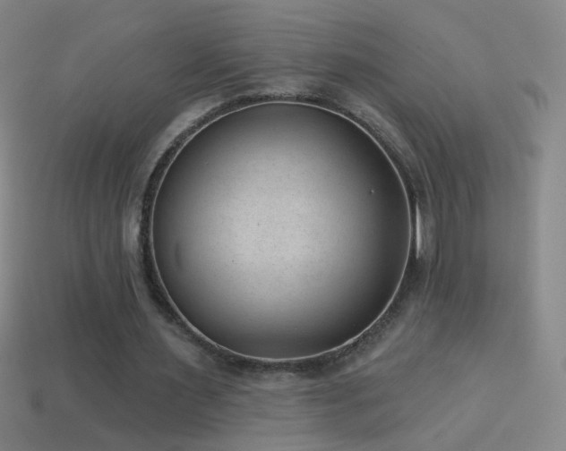 X0000114690483200910211315