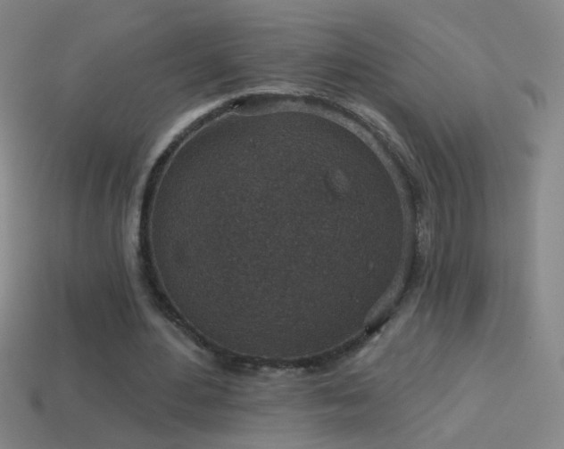 X0000114690484200910211315