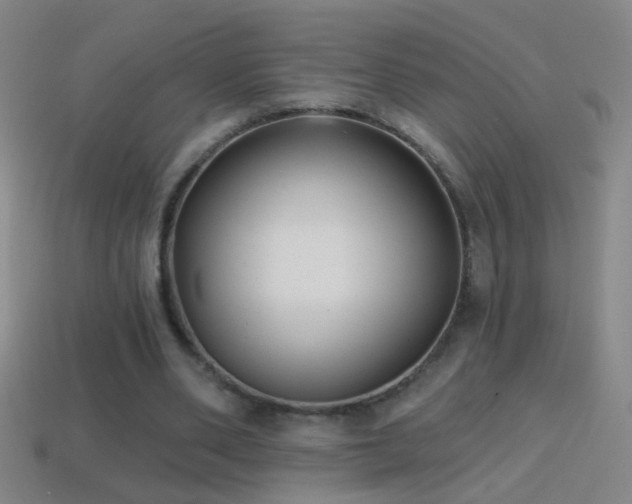 X0000114690486200910211315