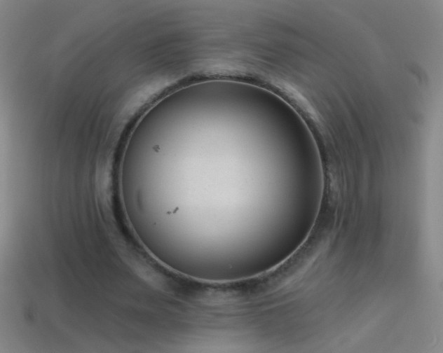 X0000114690487200910211315