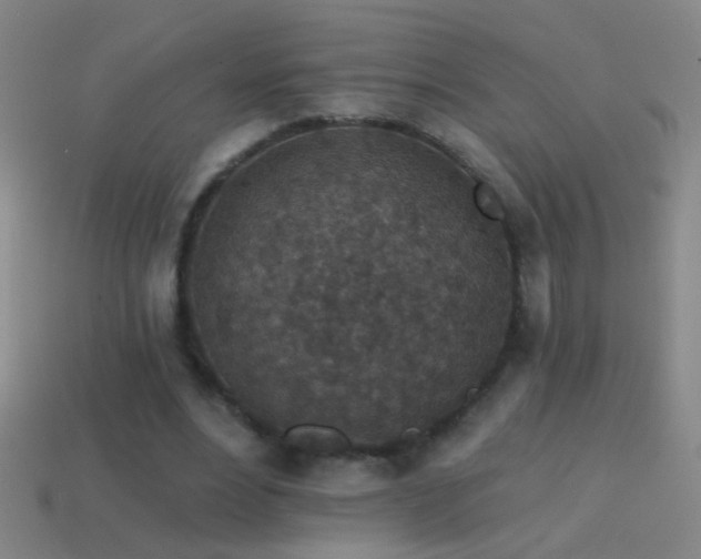 X0000114690488200910211315
