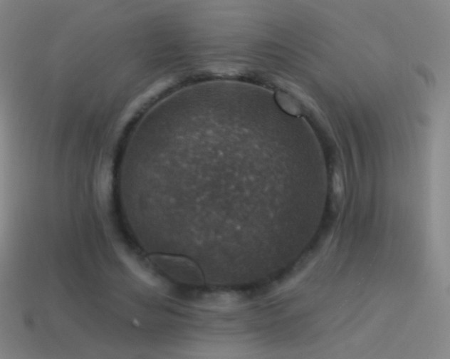 X0000114690492200910211315