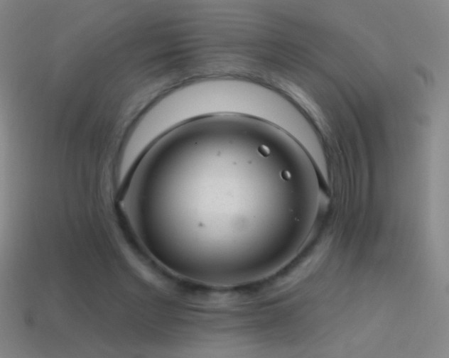 X0000114690493200910211315