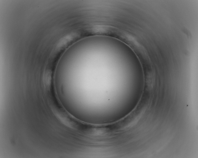 X0000114690495200910211315