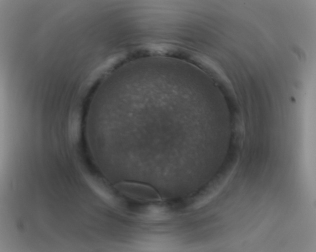 X0000114690496200910211315