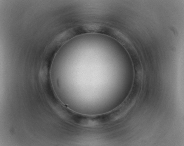 X0000114690498200910211315