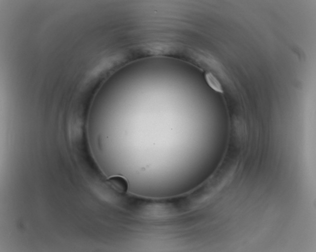 X0000114690499200910211315