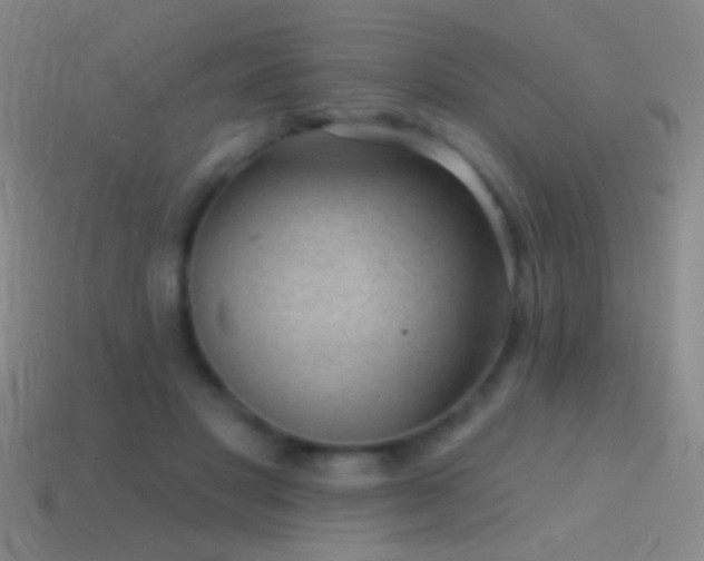 X0000114690501200910211315