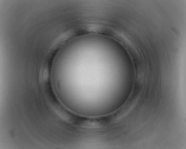 X0000114690502200910211315