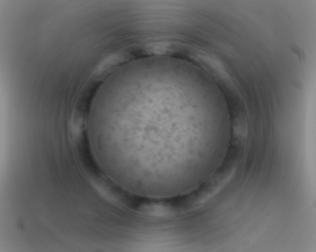 X0000114690503200910211315