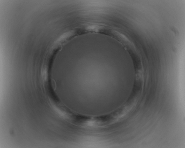 X0000114690504200910211315