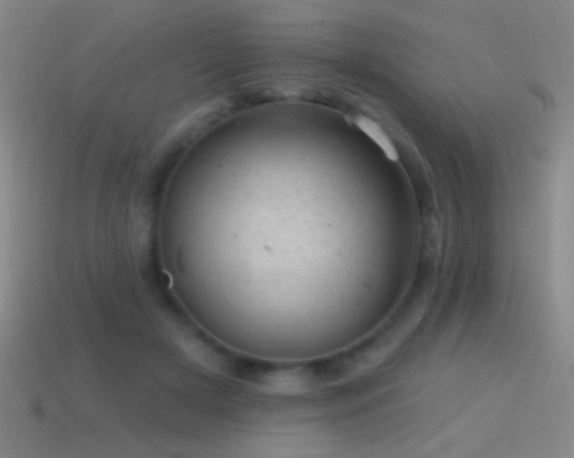 X0000114690505200910211315