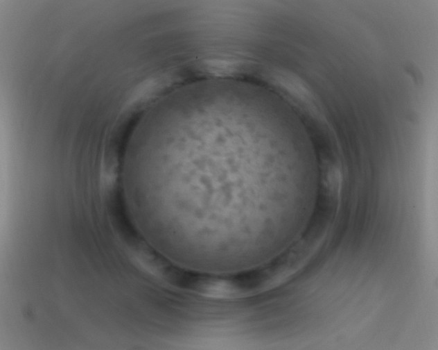 X0000114690507200910211315