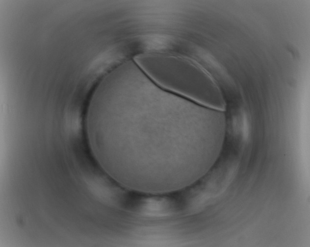 X0000114690508200910211315