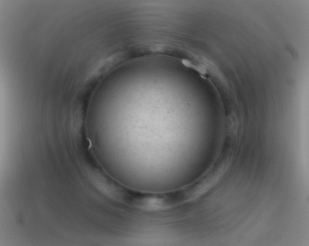 X0000114690509200910211315