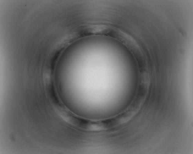 X0000114690510200910211315