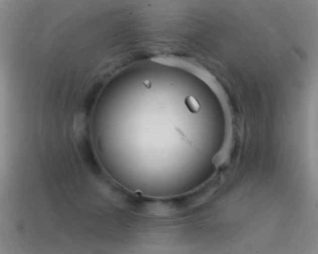 X0000114690511200910211315