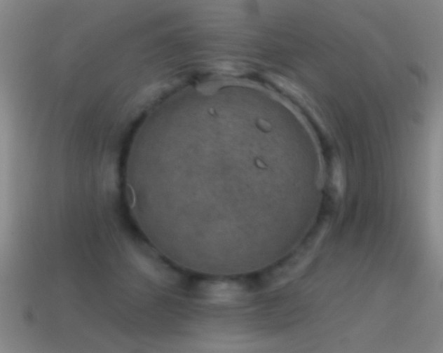 X0000114690512200910211315
