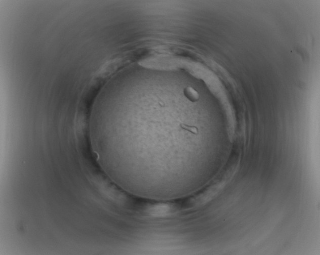 X0000114690513200910211315