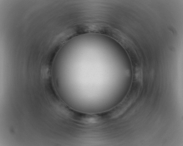 X0000114690514200910211315