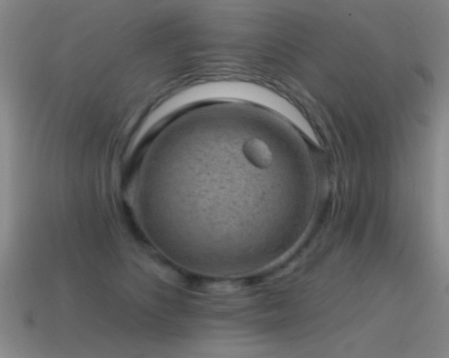 X0000114690516200910211315