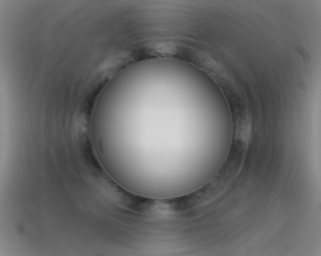 X0000114690518200910211315