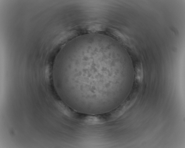 X0000114690519200910211315