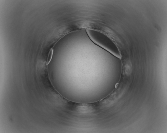 X0000114690521200910211315