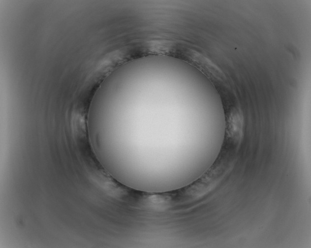 X0000114690522200910211315