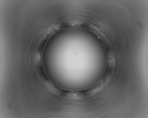 X0000114690523200910211315