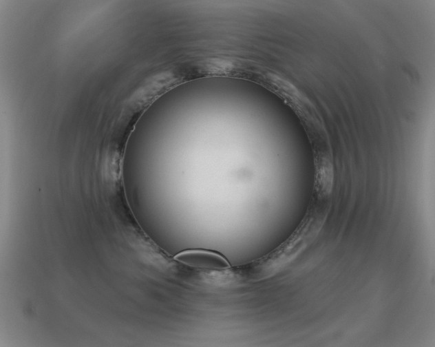 X0000114690525200910211315