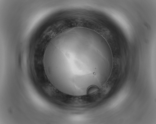 X0000114690526200910211315