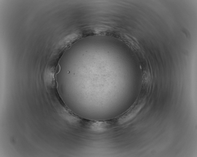 X0000114690527200910211315