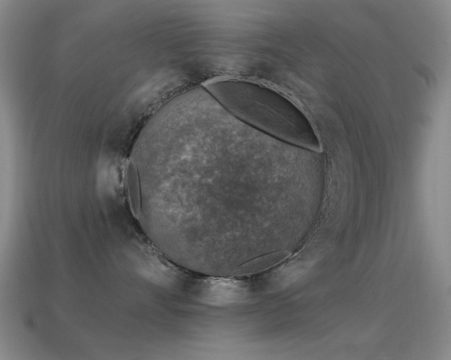 X0000114690528200910211315