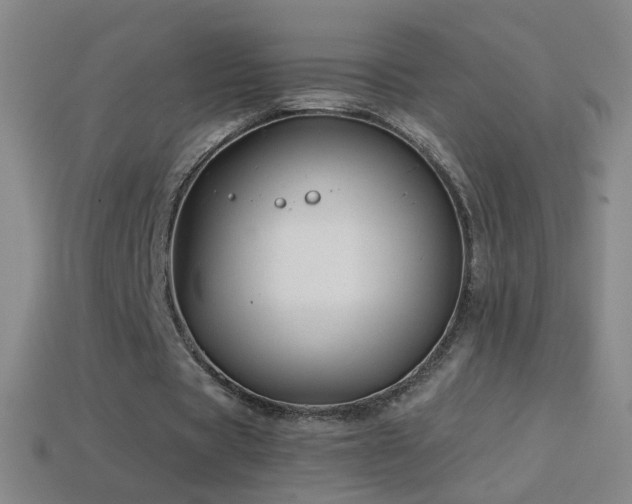 X0000114690529200910211314