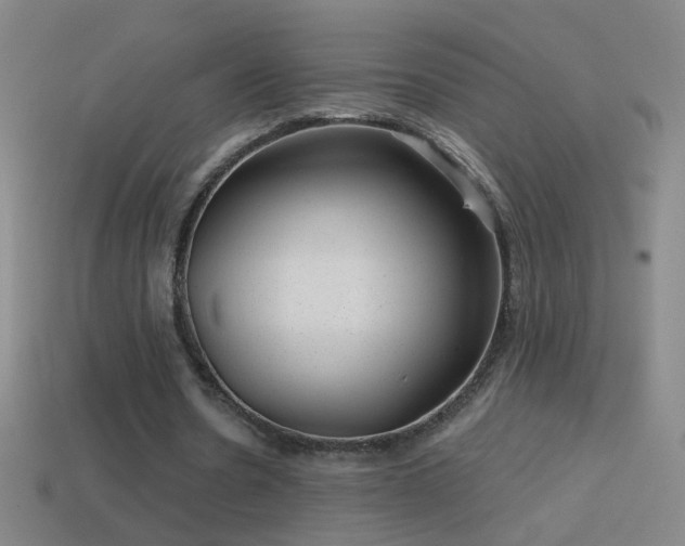 X0000114690530200910211314