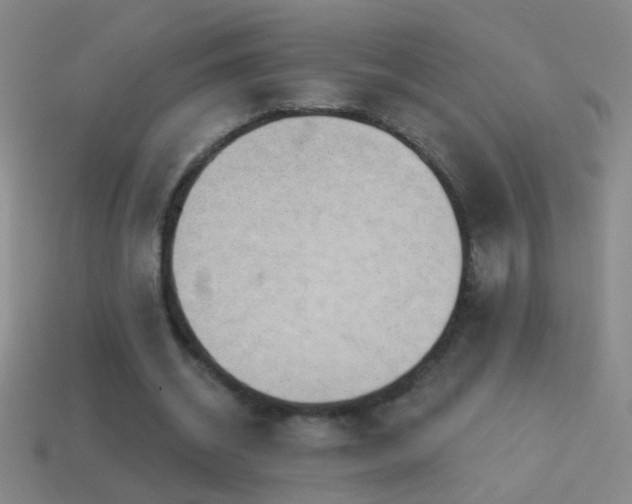 X0000114690534200910211314