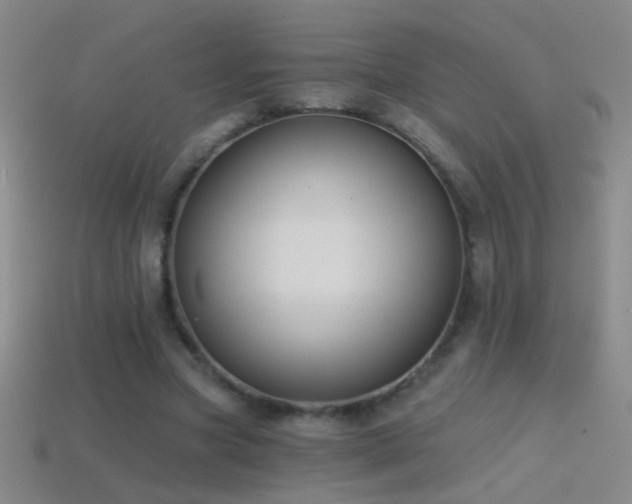 X0000114690537200910211314