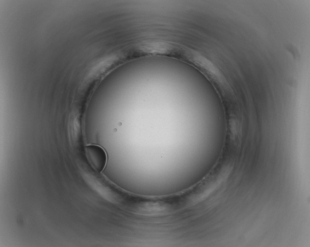 X0000114690541200910211314