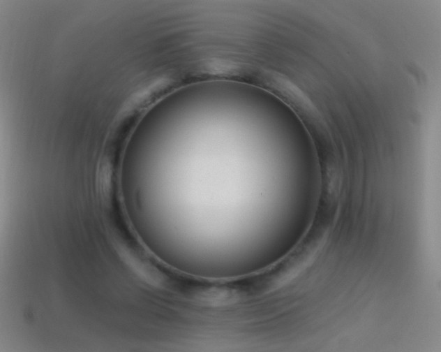 X0000114690542200910211314