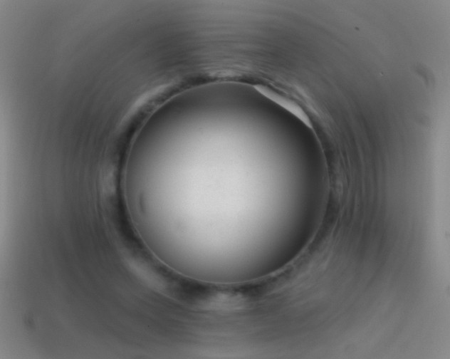 X0000114690543200910211314