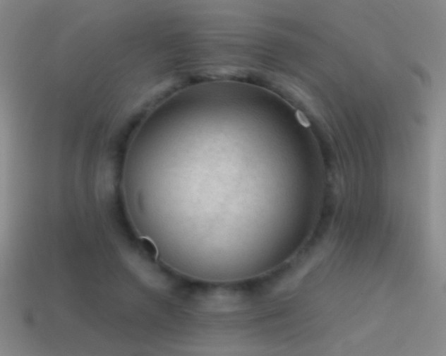 X0000114690546200910211314