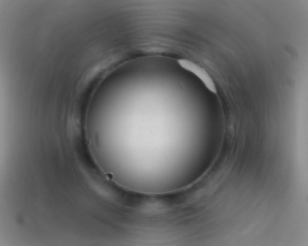 X0000114690547200910211314