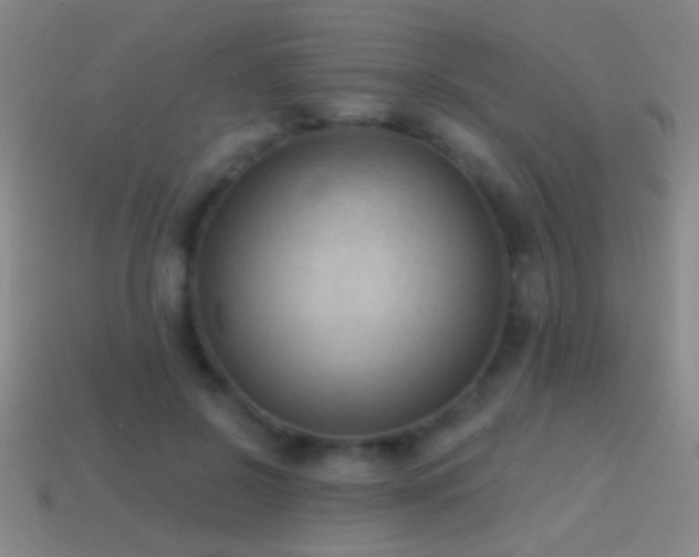 X0000114690550200910211314
