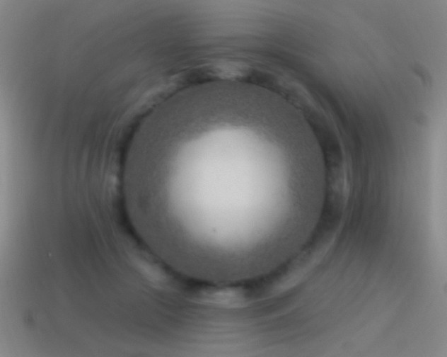 X0000114690553200910211314