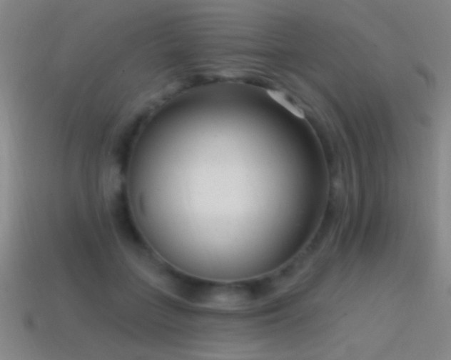 X0000114690555200910211314