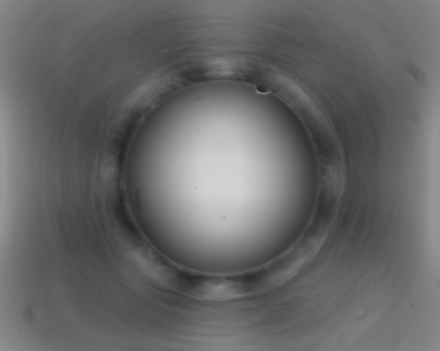 X0000114690557200910211314
